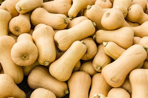 COURGE Butternut - 1 kg -